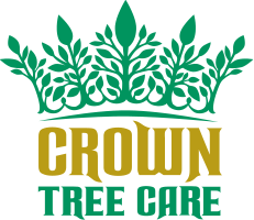 Crown Tree Care